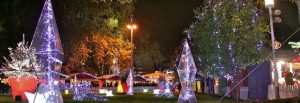 Marché Noel Lyon ge rh expert