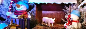 Marché Noel Lille ge rh expert
