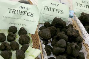 ge rh expert Jean-Pierre Coffe et la Truffe du Périgord