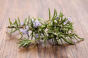 Les Fleurs Comestibles, pour une Cuisine Colorée et Pleine de Surprises