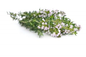 Les Fleurs Comestibles, pour une Cuisine Colorée et Pleine de Surprises