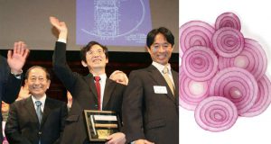 ge rh expert Des Japonais inventent l’oignon qui ne fait pas pleurer