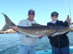 ge rh expert Le COBIA : Un poisson d'Avril ?