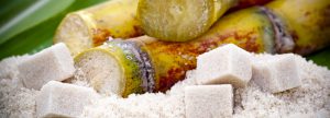 12 bénéfices apportés par la tequila. Le 9 est tellement génial !