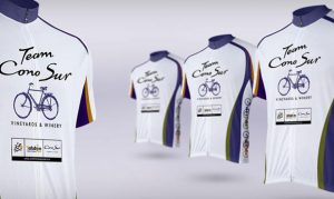 ge rh expert Le vin du Tour de France 2015 est chilien - merci la loi Evin !