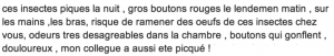 LucieL