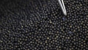 Du Caviar à Tombeau 0uvert