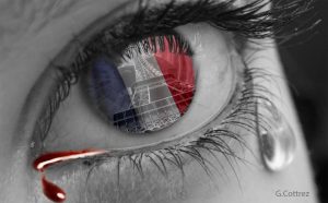 ge rh expert La France en Deuil