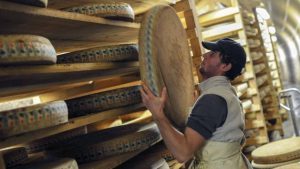 Le "Gang des Meules" subtilise Quatre Tonnes de Comté