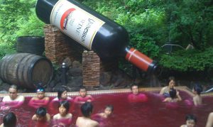 ge rh expert Pourquoi les Japonais prennent des bains de vin rouge
