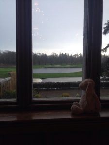 Le personnel d'un hôtel fait passer un séjour de rêve à un doudou