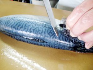 ge rh expert Le Poisson bouge dans votre assiette: Eloignez les enfants