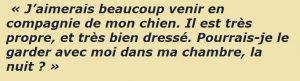 Un Client Demande S'il Peut Séjourner Dans L'hôtel Avec Son Chien. La Réponse Du Directeur Est Extraordinaire !