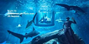 ge rh expert Une nuit au milieu des requins à Paris: l'offre insolite d'Airbnb