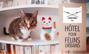 Ge RH expert Il lance un Hôtel pour chats