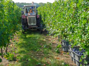 ge rh expert Des domaines viticoles varois se font payer pour recevoir des gravats