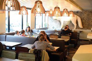 GE RH EXPERT Rusé ce Renard, Bar d'Alsace