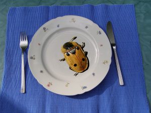 Top 15 des plats les moins ragoûtants du monde