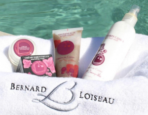 La Bûche du Groupe Bernard Loiseau C'est Noël avant l'heure