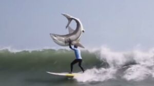 ge rh expert Un restaurateur porte plainte contre le surfeur attaqué par le requin