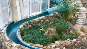 ge rh expert C’est dans les piscines abandonnées qu’on fait les meilleurs champignons