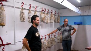 ge rh expert C’est dans les piscines abandonnées qu’on fait les meilleurs champignons