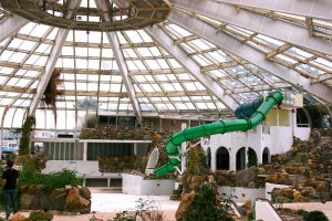 ge rh expert C’est dans les piscines abandonnées qu’on fait les meilleurs champignons