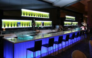 ge rh expert Bar d'Hotel: Faire vivre, animer, « Booster » votre chiffre d’affaires...