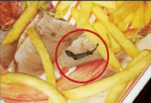 ge rh expert Effroyable : au McDo, elle trouve un lézard dans ses frites