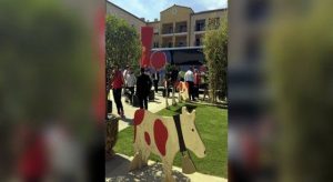 ge rh expert Des hôteliers vaches à lait ?