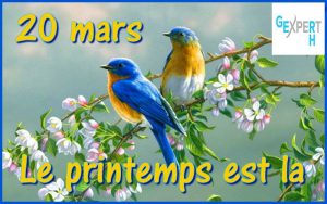 ge rh expert Menu de Printemps