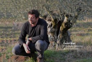 ge rh expert H comme Huile d'Olive celle de Patrick Bruel