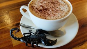 ge rh expert Scorpion, iguane et cappuccino : bienvenue au Reptile Café de Phnom Penh