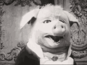 ge rh expert Condamnée pour avoir transformé son cochon d'adoption en pâté