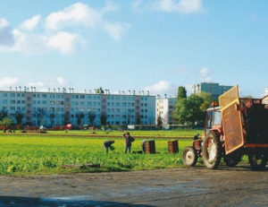 Le projet du parti Poétique, de la ferme de Gally et du Chef Alain Ducasse